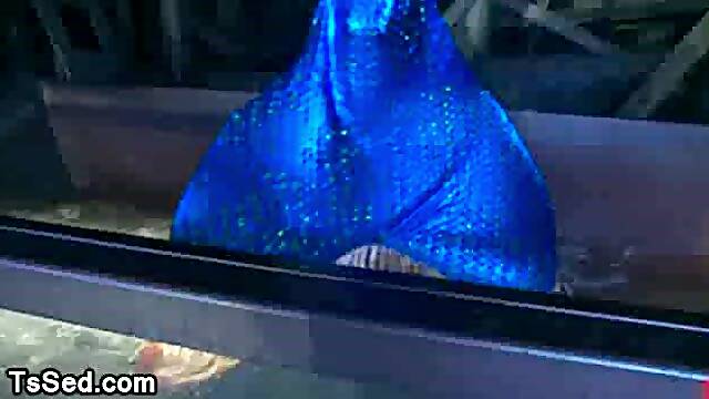 Busty siren seduces and sucks dick to bound sailor