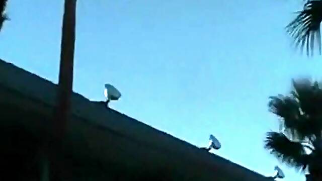 Nicole Charming fucks