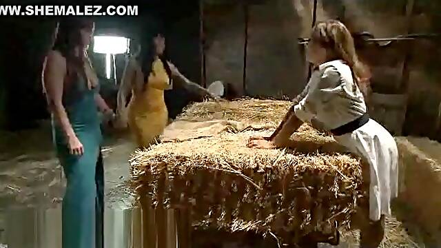 Two hot chicks and tranny fuck Sybian