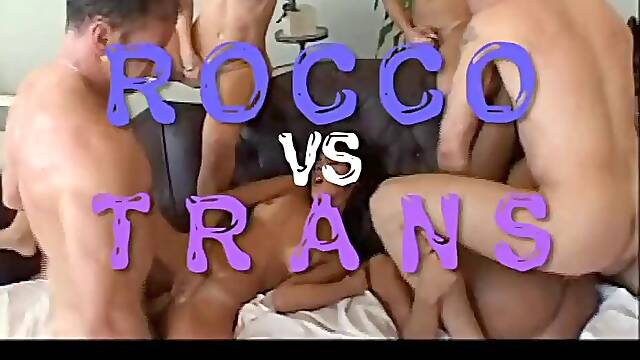 Rocco VS Trans
