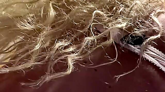 HAWT GOLDEN-HAIRED TRANSSEXUAL IN BRASSIERE AND PANTY : SLO MO BUTT TEASE EDITION