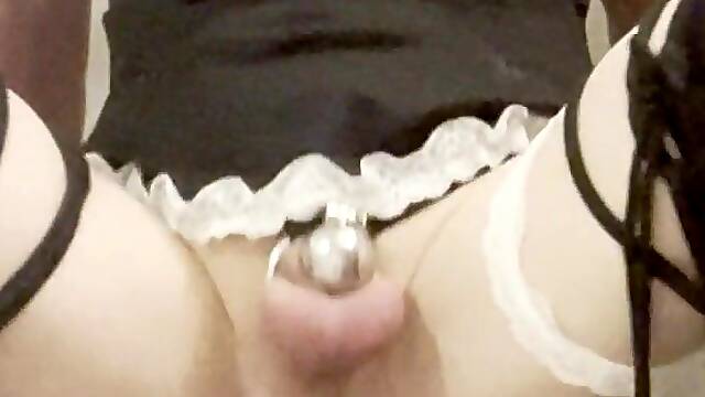 Tentacle screw in chastity