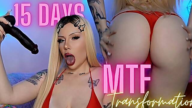 15 days MTF transformation
